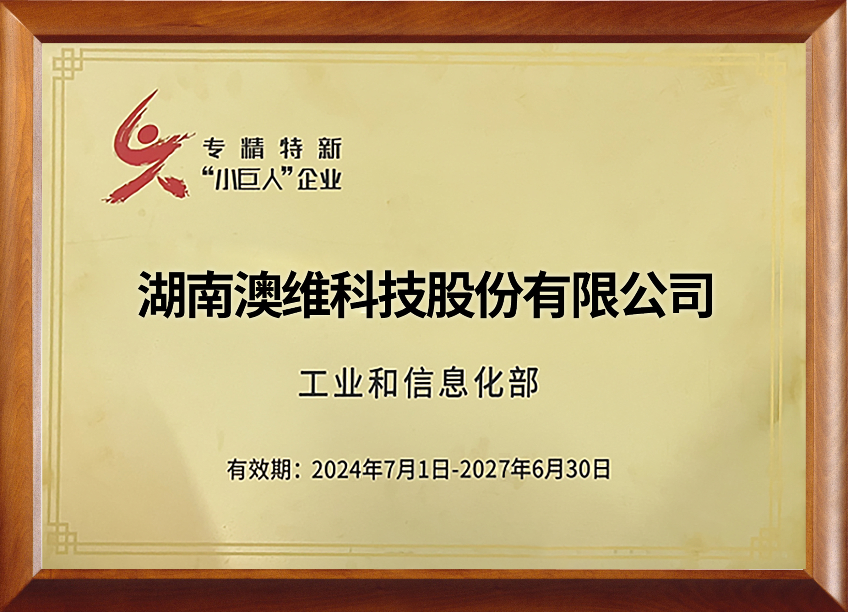 国家专精特新“小巨人”示范企业